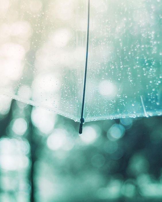 雨｜写メ日記｜みなみ｜大塚・巣鴨 一般デリヘル 大塚デリ姫