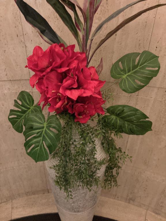 のんびり気分です☁️｜写メ日記｜えも｜大塚・巣鴨 一般デリヘル 大塚デリ姫