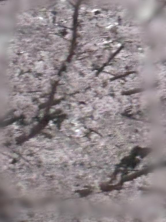 ありがとうございました｜写メ日記｜えも｜大塚・巣鴨 一般デリヘル 大塚デリ姫