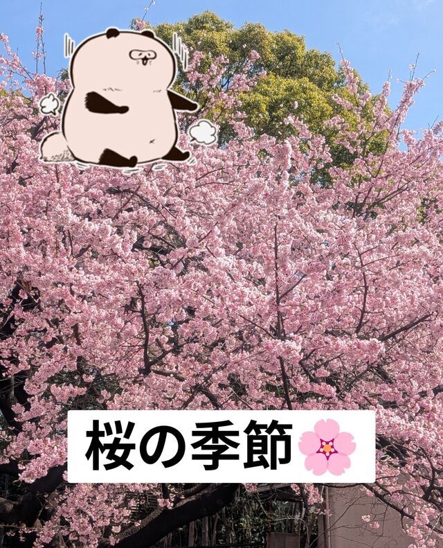 天気最高｜写メ日記｜寺井｜鶯谷 人妻デリヘル ベニバナ