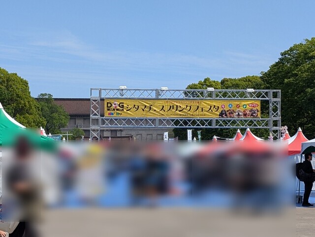 日曜日｜写メ日記｜寺井｜鶯谷 人妻デリヘル ベニバナ