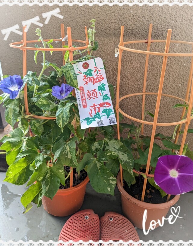 ☆パッカ〜ン☆その2