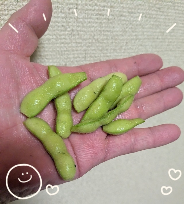 ☆採ったど〜♪☆その2｜写メ日記｜沢田｜鶯谷 人妻デリヘル ベニバナ