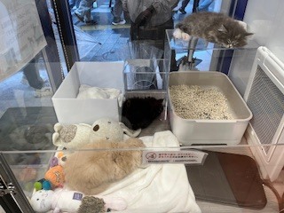 池袋の思い出｜写メ日記｜新宿｜鶯谷 人妻デリヘル ベニバナ