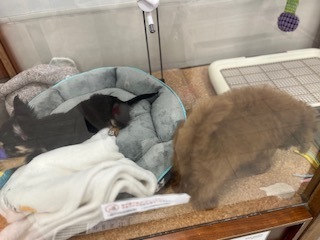 池袋の思い出4｜写メ日記｜新宿｜鶯谷 人妻デリヘル ベニバナ