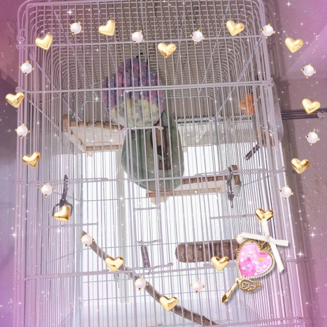 お礼