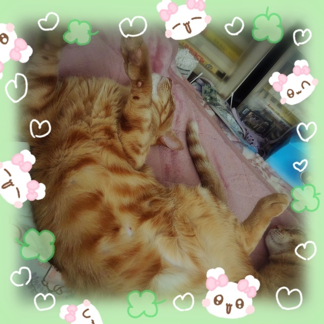 今日は13時から出勤です(((o(*ﾟ▽ﾟ*)o)))