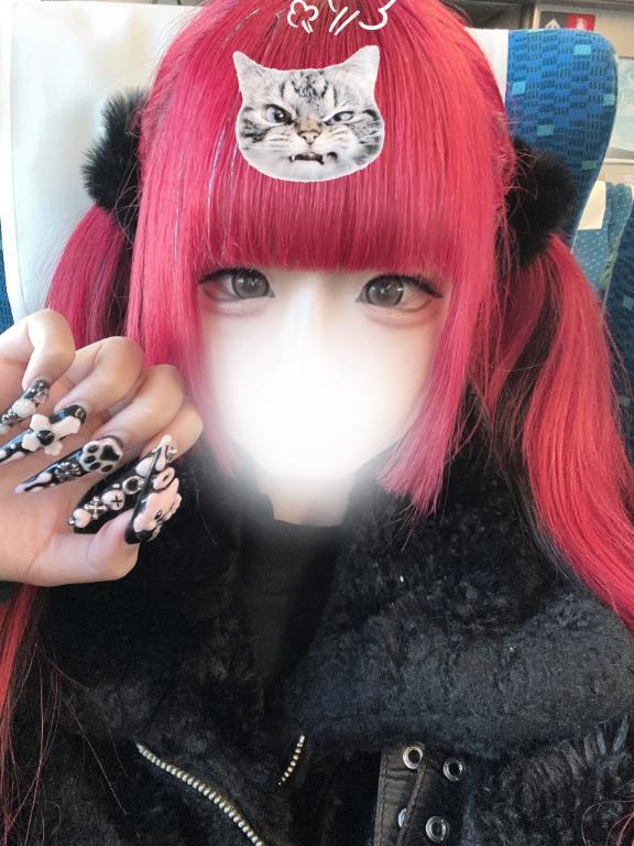 しゅっしゅ｜写メ日記｜りりさ｜新宿 一般デリヘル とある風俗店やりすぎさーくる新宿大久保店