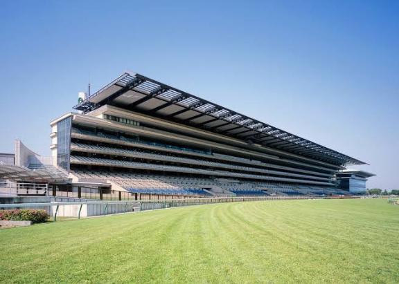 [お題]from:二人で競馬場行きたいさん｜写メ日記｜まこと｜新宿 一般デリヘル とある風俗店やりすぎさーくる新宿大久保店