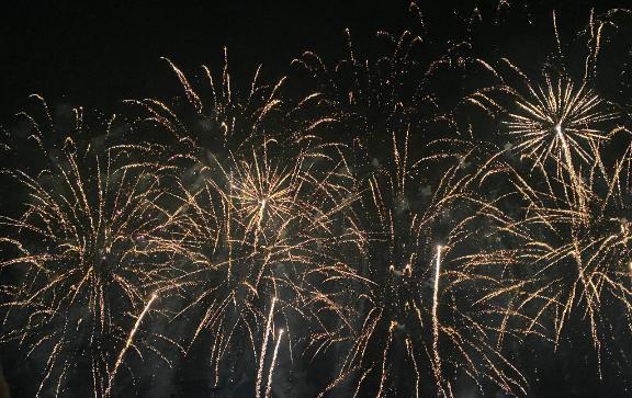 こんばんは〜*.｡｜写メ日記｜ちづる｜新宿 一般デリヘル とある風俗店やりすぎさーくる新宿大久保店