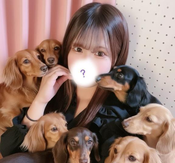 待機中｜写メ日記｜まろん｜新宿 一般デリヘル とある風俗店やりすぎさーくる新宿大久保店