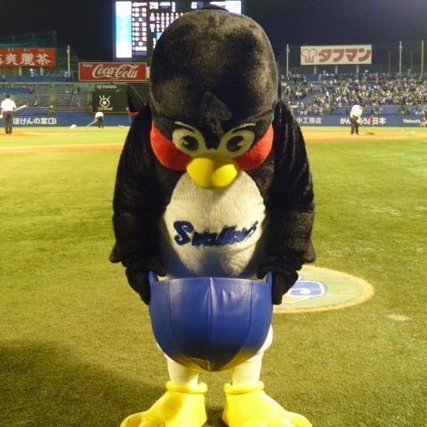 すいません｜写メ日記｜あずみ｜新宿 一般デリヘル とある風俗店やりすぎさーくる新宿大久保店