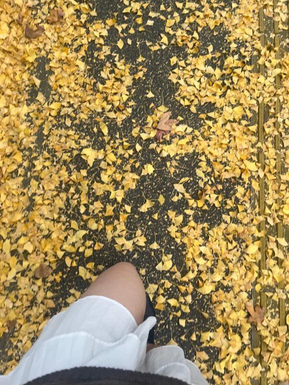 思わず｜写メ日記｜みらここあ｜新宿 一般デリヘル とある風俗店やりすぎさーくる新宿大久保店