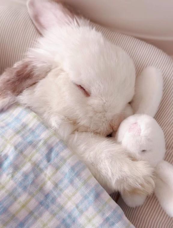 お休み｜写メ日記｜みらここあ｜新宿 一般デリヘル とある風俗店やりすぎさーくる新宿大久保店