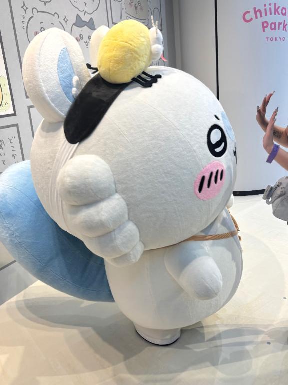 お知らせ⋆⋆