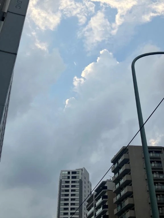 空はどんより🤨