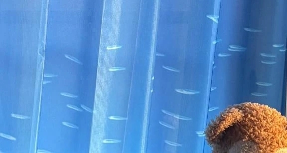 🐬🧸🩵｜写メ日記｜やよい｜新宿 一般デリヘル とある風俗店やりすぎさーくる新宿大久保店