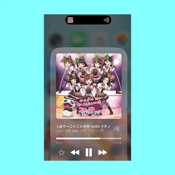 🤍・・・🐈🖤