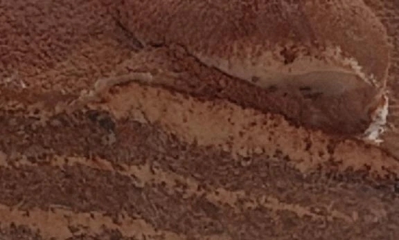 弟よ💕｜写メ日記｜やよい｜新宿 一般デリヘル とある風俗店やりすぎさーくる新宿大久保店