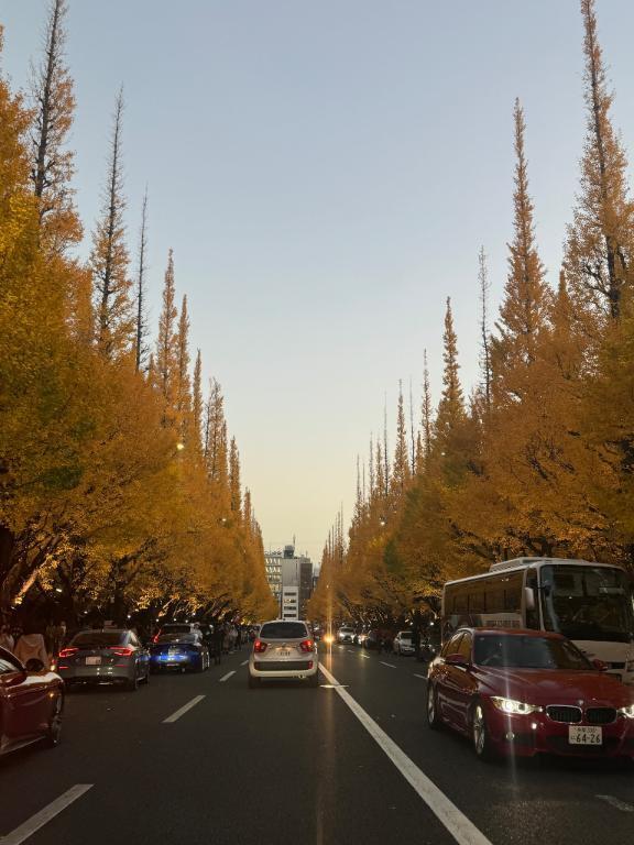 お久しぶりの｜写メ日記｜りつ｜新宿 一般デリヘル とある風俗店やりすぎさーくる新宿大久保店
