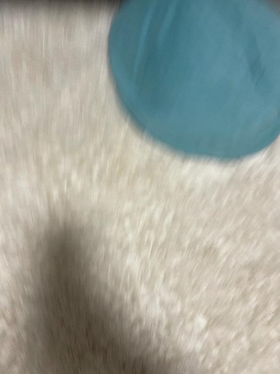 います！｜写メ日記｜そく｜新宿 一般デリヘル とある風俗店やりすぎさーくる新宿大久保店