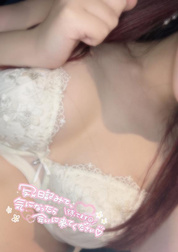 初！｜写メ日記｜こうめ｜新宿 一般デリヘル とある風俗店やりすぎさーくる新宿大久保店