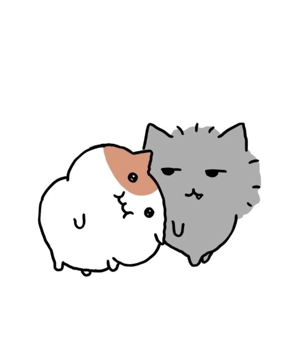 【必読】ほむらからのお願い🙏｜写メ日記｜ほむら｜新宿 一般デリヘル とある風俗店やりすぎさーくる新宿大久保店