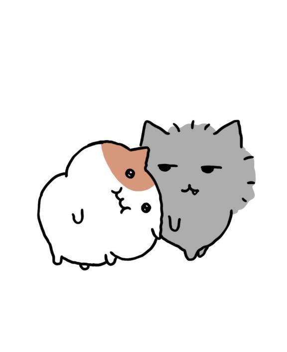 【必読】ほむらからのお願い｜写メ日記｜ほむら｜新宿 一般デリヘル とある風俗店やりすぎさーくる新宿大久保店