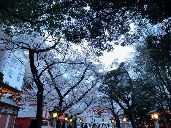 今日は｜写メ日記｜よこはま｜新宿 一般デリヘル とある風俗店やりすぎさーくる新宿大久保店