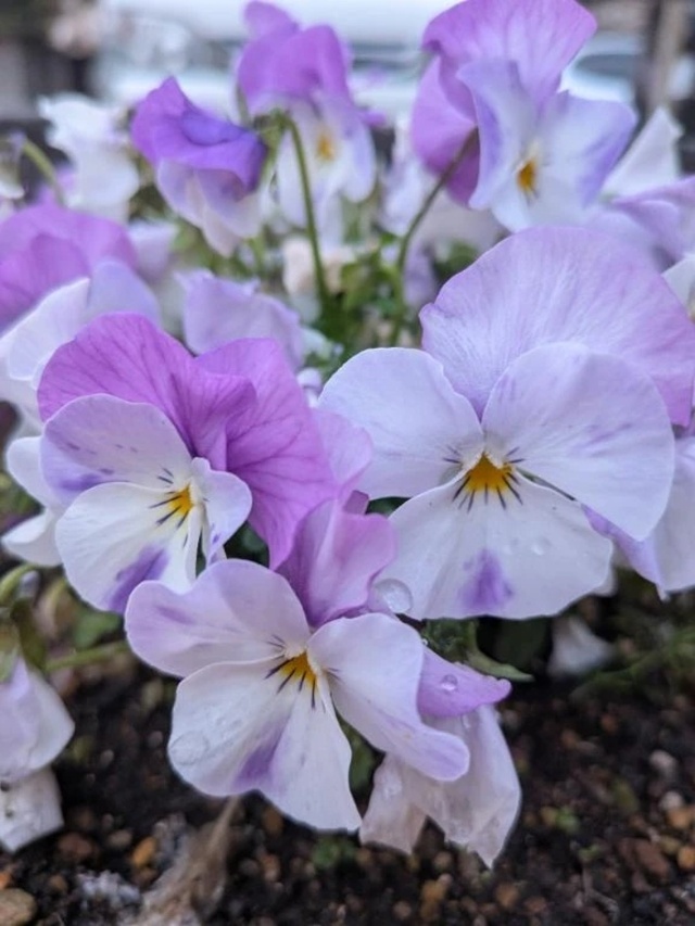 ごめんなさいっ🙏💦｜写メ日記｜しなもん｜新宿 一般デリヘル とある風俗店やりすぎさーくる新宿大久保店