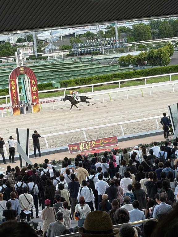 みなさまへ｜写メ日記｜めめ｜新宿 一般デリヘル とある風俗店やりすぎさーくる新宿大久保店