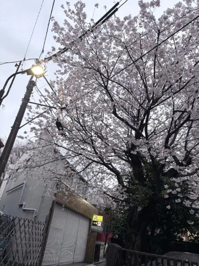 💘