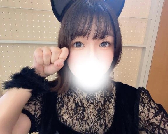 飼い主探し🐈
