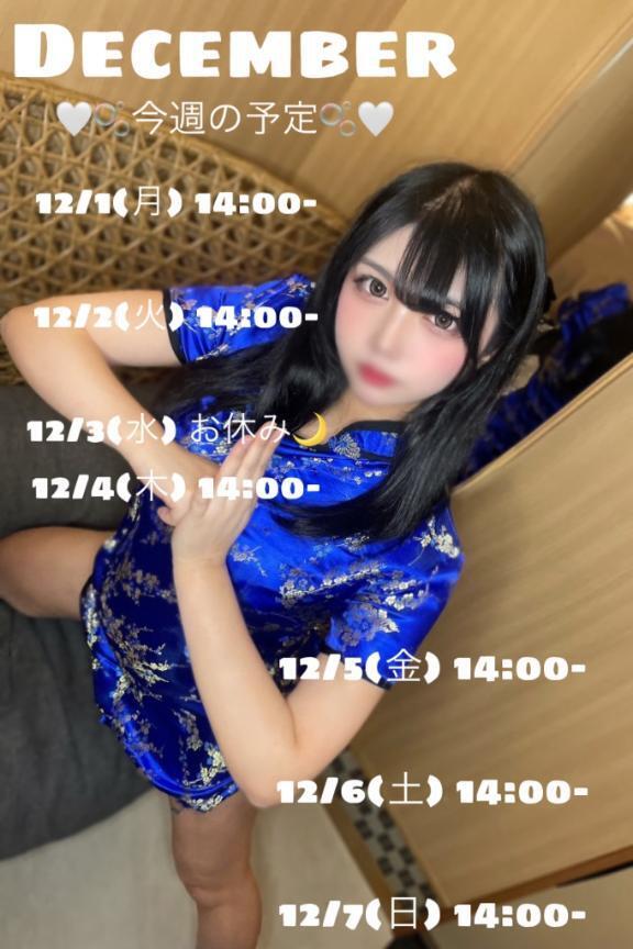 12月1週目の予定