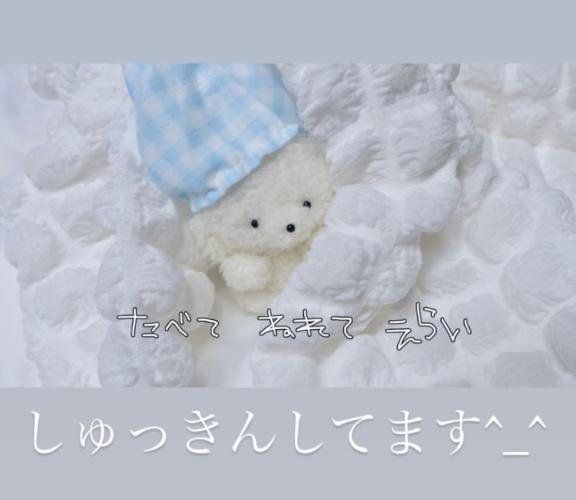 14:00~｜写メ日記｜しふぁ｜新宿 一般デリヘル とある風俗店やりすぎさーくる新宿大久保店