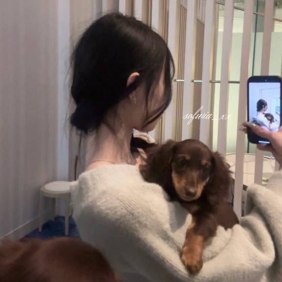 どこでしょう｜写メ日記｜そふぃあ｜新宿 一般デリヘル とある風俗店やりすぎさーくる新宿大久保店