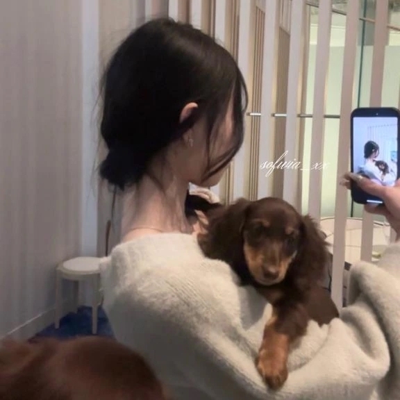 💎どこでしょう💎｜写メ日記｜そふぃあ｜新宿 一般デリヘル とある風俗店やりすぎさーくる新宿大久保店