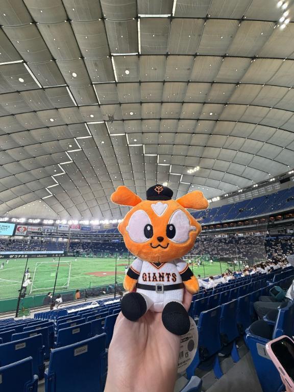 本日も