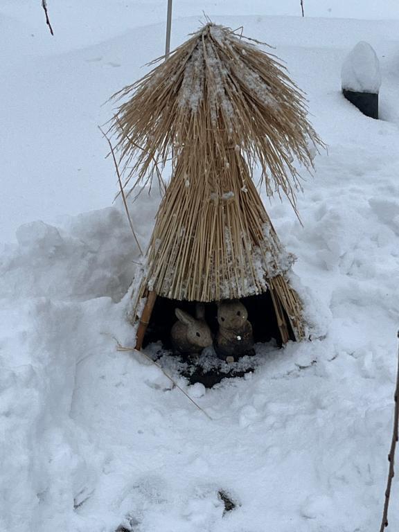 明けましておめでとう