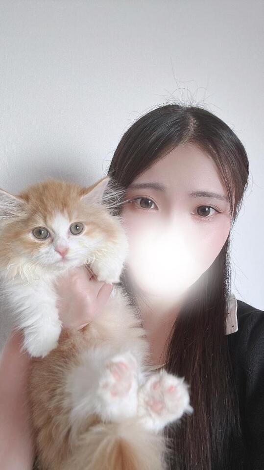 新しい家族