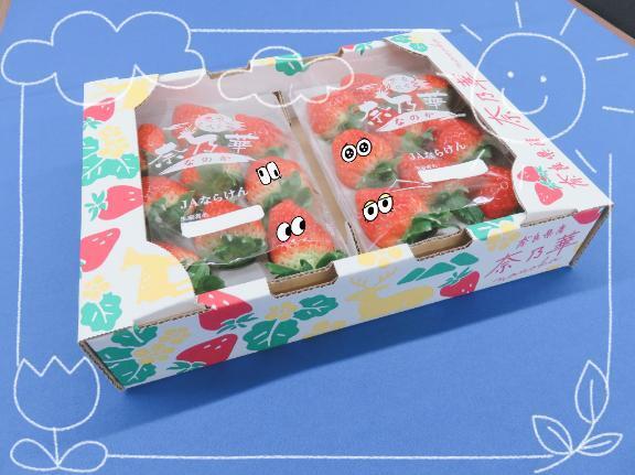 いちごには〇〇｜写メ日記｜えっち｜新宿 一般デリヘル とある風俗店やりすぎさーくる新宿大久保店
