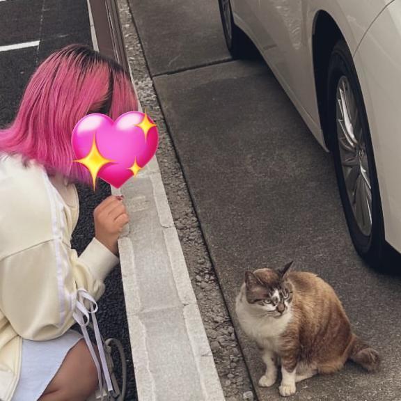 🎀すみません💦🎀｜写メ日記｜ねこ｜新宿 一般デリヘル とある風俗店やりすぎさーくる新宿大久保店