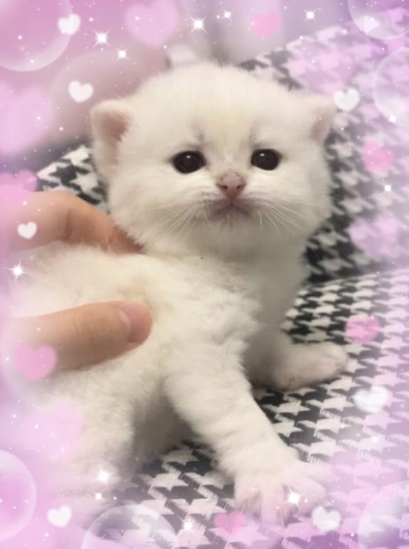 🎀出勤🎀
