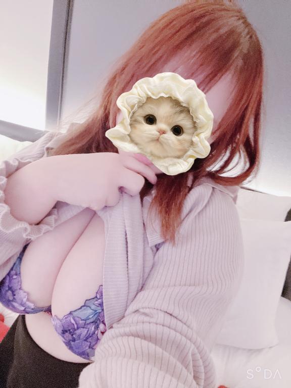 (⸝⸝ᐡ. ̫ .ᐡ⸝⸝)｜写メ日記｜ほたる｜新宿 一般デリヘル とある風俗店やりすぎさーくる新宿大久保店