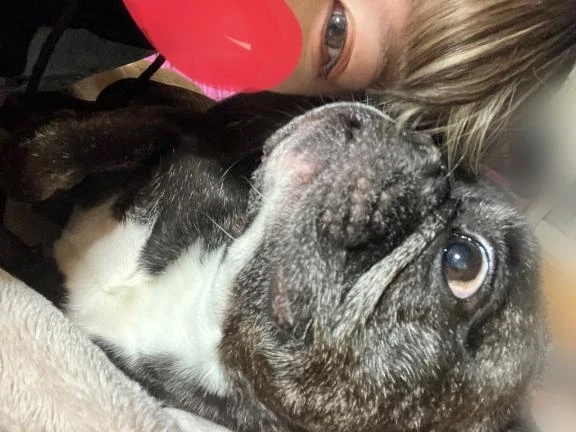 あけまして！！！！！