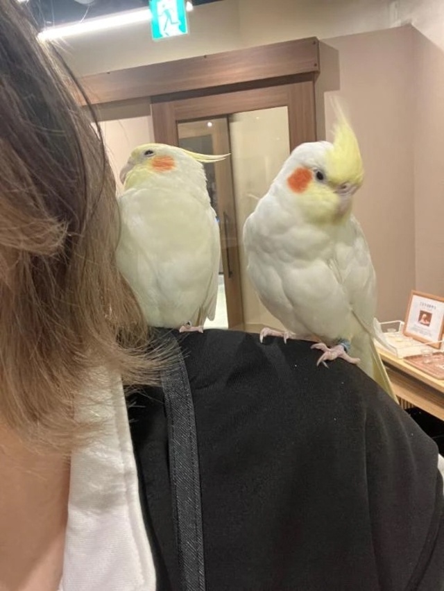 出会いや別れを繰り返すんだ