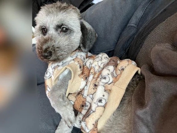 無くしたものが輝かなくなる