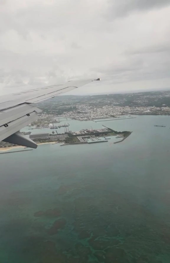 出勤してます✨｜写メ日記｜える｜品川・五反田 ぽっちゃりデリヘル ぷよステーション 品川店