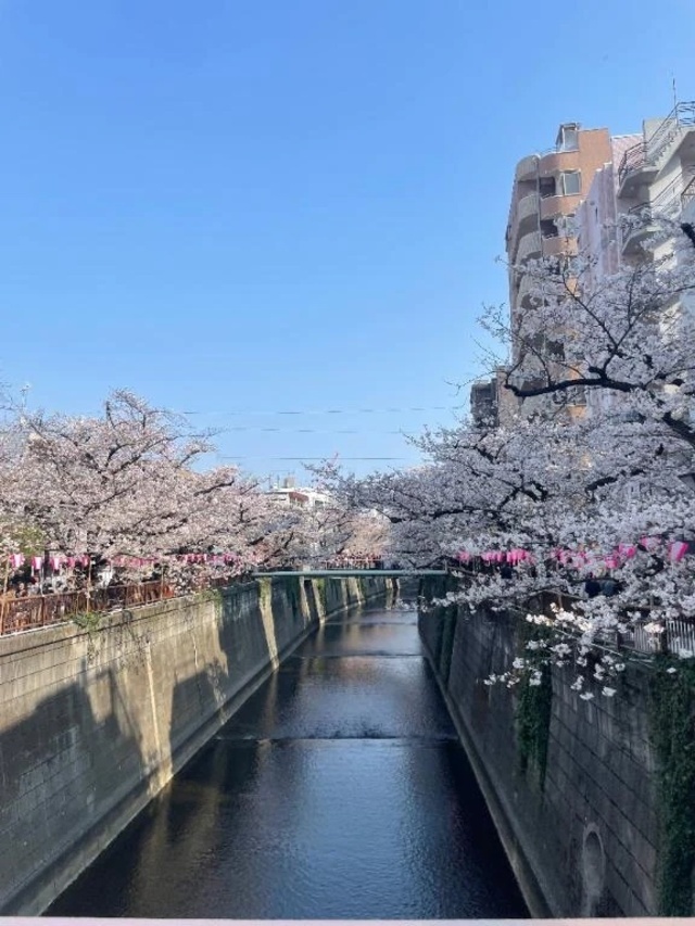 あ！おはようございます☀️｜写メ日記｜える｜品川・五反田 ぽっちゃりデリヘル ぷよステーション 品川店