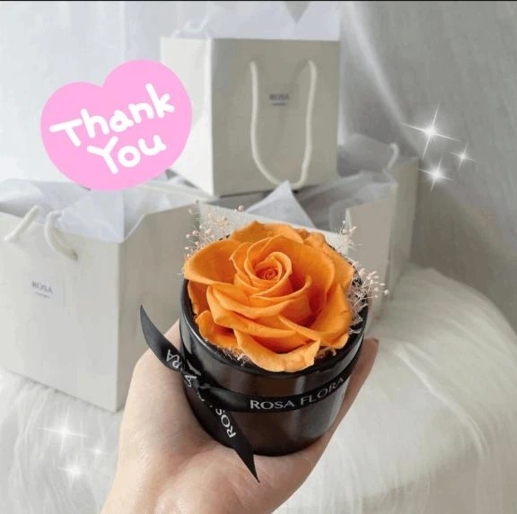 退勤と次回☘︎ ݁˖.ᐣ ˚⋆｜写メ日記｜おと｜品川・五反田 ぽっちゃりデリヘル ぷよステーション 品川店